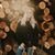 Charly Ann Shrewsbury's profile image
