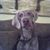 Chrystal Tinsley's profile image