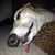 Cindy Byers Casto's profile image