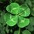 Eileen D Nelson's profile image