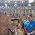 BenHur Alona Gonzales's profile image