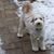Mark Ehlinger's profile image