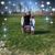 Charlie Ervin's profile image