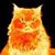 Lori Lazor's profile image