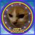 Sheila Faulkner's profile image