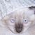 Jeffrey Aguilera's profile image