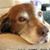 Richard Newcomb's profile image