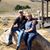 Donna Hollis Ross's profile image