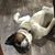 Angie Brister Worcester's profile image