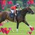 Therese Volmer's profile image