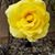 Amanda Ranae's profile image