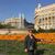 Mariana Mederos's profile image