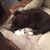 Lori Burdett DeCrow's profile image