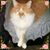 Kay Oder's profile image