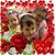 Marlene Derrick's profile image