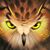 Kelly Arens's profile image