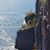 Ron Strenke's profile image