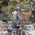 Deb Maxwell-Gauthier's profile image