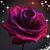 Kristina McClary's profile image