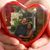 Sherry Stough's profile image