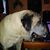 Penny Morgan's profile image