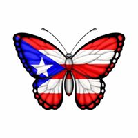 Adrienne Quinones's profile image