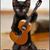 Shanelle Bergado Livers's profile image