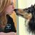 Carol Elaine's profile image