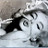 Suzy's profile image