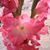 Liza Khan's profile image