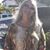 Helene Weitz Daniels's profile image