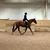 Kim Stubbart's profile image