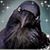 Sher Alltucker's profile image