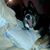 Beth Werner's profile image