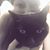 Shannon R S Crowe's profile image