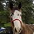 Sherry Seeley's profile image