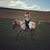 Cassondra Lynn's profile image