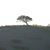 Marc C Connant's profile image