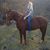 Haley Owings's profile image