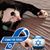 Randi Shuster's profile image
