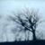 Jessica Helt's profile image
