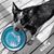 Jen Schneider Grenell's profile image