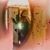 Magen Buse's profile image