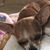 Donna Arnau's profile image