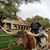 AmyLou Osborn's profile image