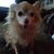 Lynette Hill Moore's profile image