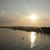 Sharon Althouse's profile image