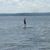 Patrick Holway's profile image
