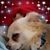 Julie Strohecker's profile image