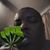 Kevin Alexander's profile image
